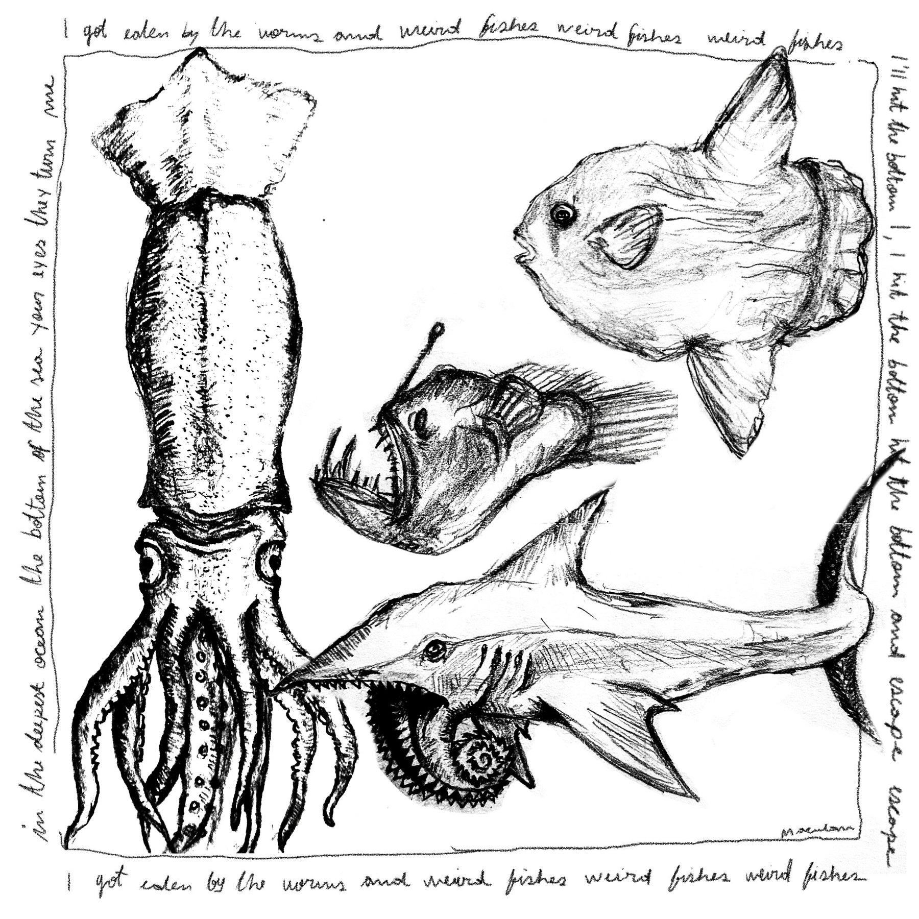 Peixes estranhos — MACULANZICES